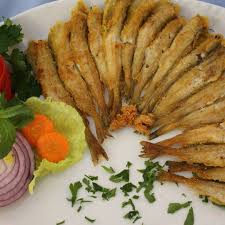 Mezgit